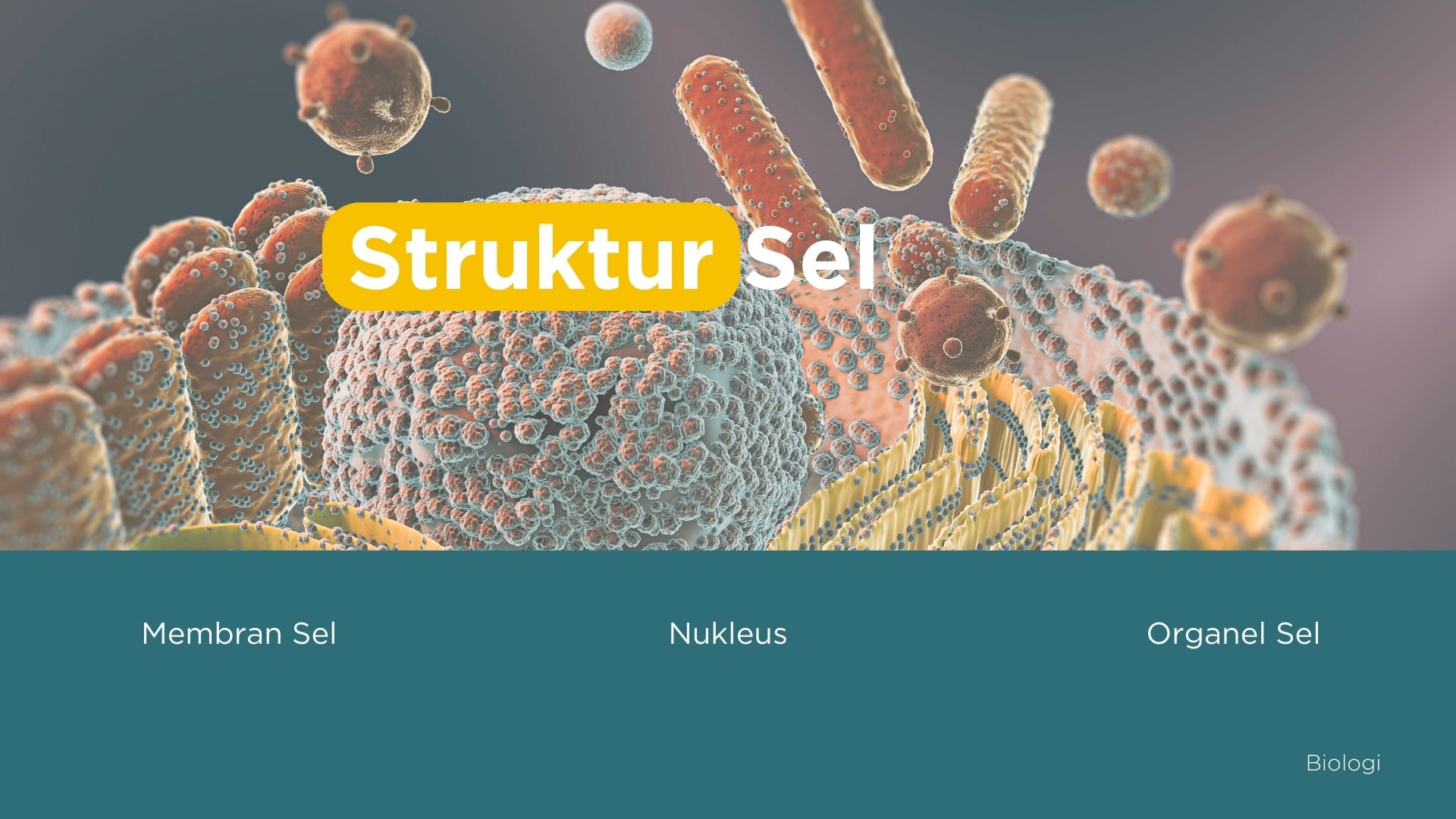 Ilustrasi struktur sel